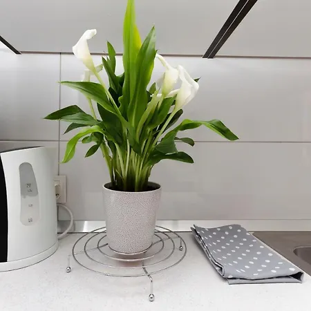 And Antee Appartamento Vodice