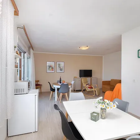 Apartment And Antee *