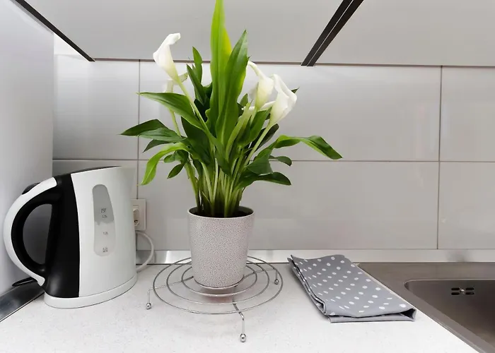 And Antee Apartamento Vodice