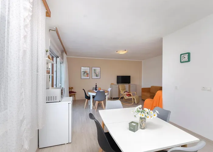 Apartment And Antee *